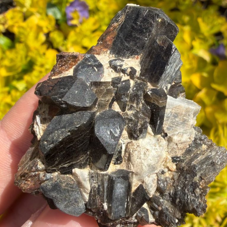 Source : https://www.etsy.com/listing/4503166409/fluoro-richterite-crystal-natural?utm_source=Pinterest&utm_medium=organic