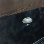 آگاته کهن (باباقوری)