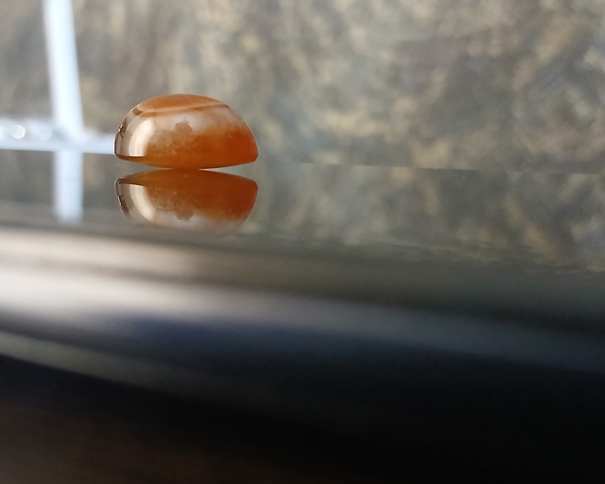 آگاته سلیمانی