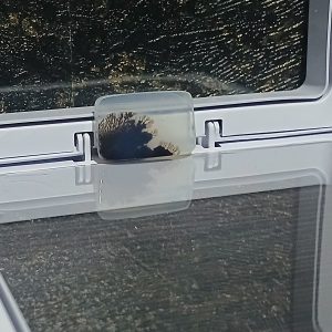 فروش آنلاین سنگ شجر هندی با مشخصات کامل