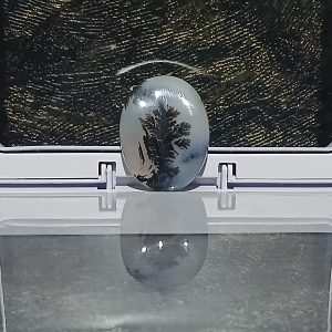 Tree Agate