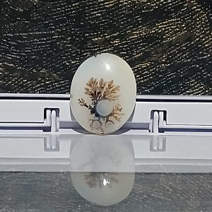 گوهر بیضی گوهر قائن
