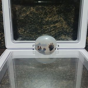 دندرویت آگیت چهار صورت | 4Face dendritic Agate