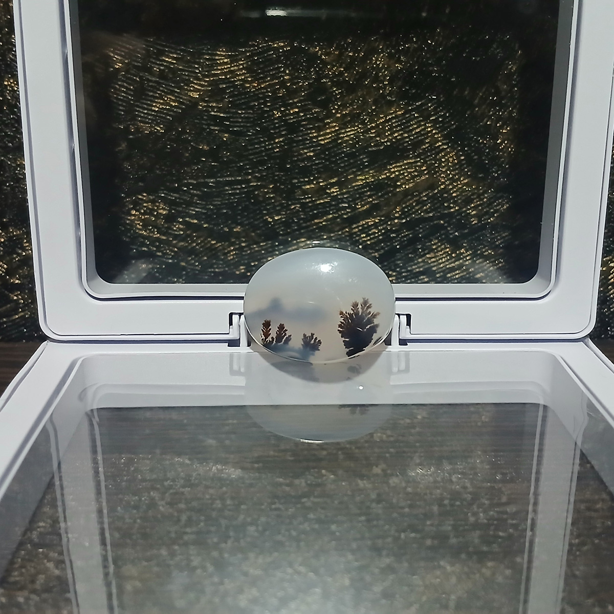 دندرویت آگیت چهار صورت | 4Face dendritic Agate