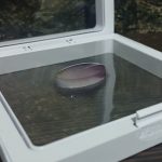 Botryoidal Amethyst