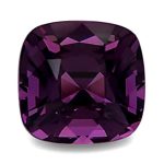 منبع : https://www.jtv.com/product/16PPJA?mcid=XSOpinterestfeed&utm_source=Pinterest&utm_medium=organic