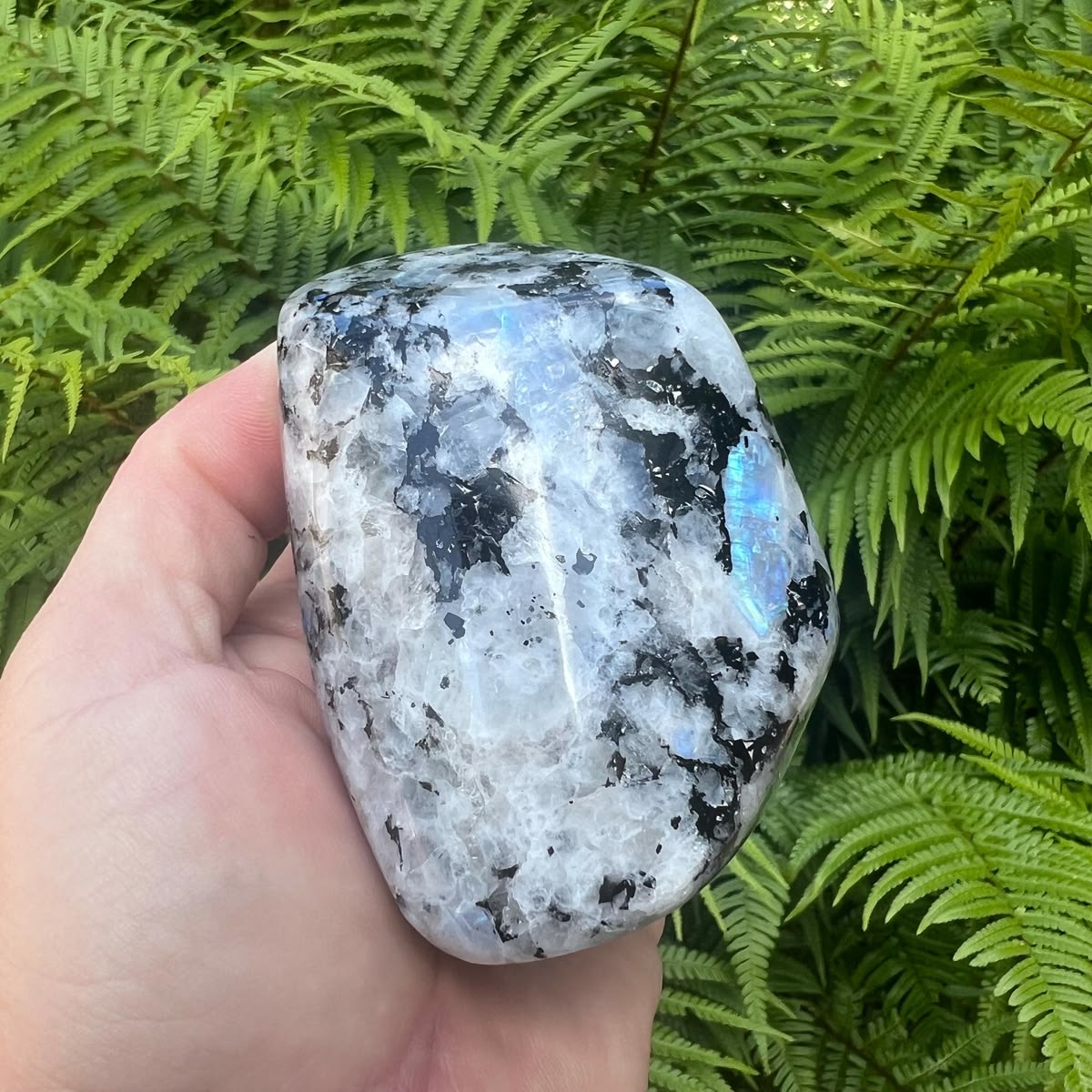 Source : https://www.etsy.com/listing/4519643173/flashy-rainbow-moonstone-freeform-479g?utm_source=Pinterest&utm_medium=organic