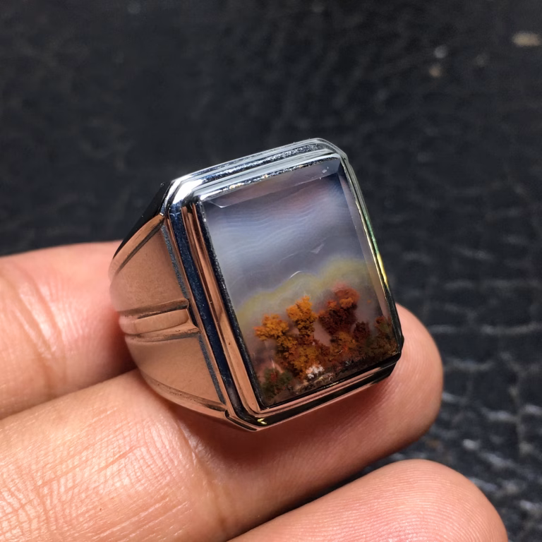 Source : https://www.etsy.com/sg-en/listing/1830219753/scenic-moss-agate-monel-ring-size-ring-9?ls=s&ga_order=most_relevant&ga_search_type=all&ga_view_type=gallery&ga_search_query=Monel&ref=sr_gallery-1-1&spe=him&pro=1&frs=1&content_source=cba9b337-84c7-4c2b-add5-10c7f67cd48d%253ALT6f0b0c553c4612ef7a9430bd42aba0af19e884fd&organic_search_click=1&logging_key=cba9b337-84c7-4c2b-add5-10c7f67cd48d%3ALT6f0b0c553c4612ef7a9430bd42aba0af19e884fd